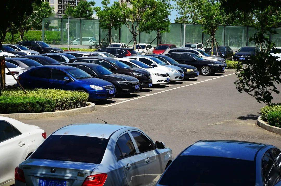 擁擠的停車場與住宿體驗 一場現(xiàn)代都市的無奈交響曲